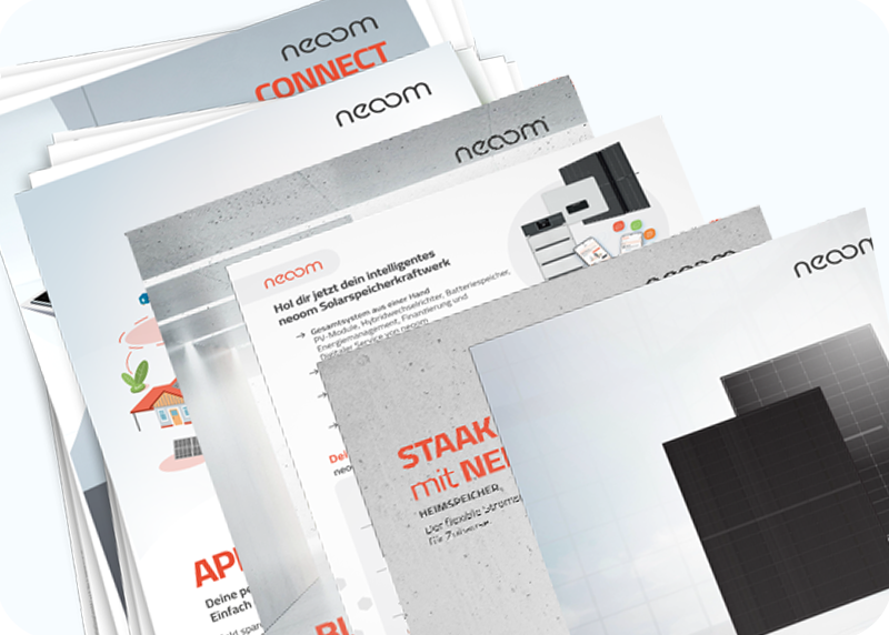 Flyer-01