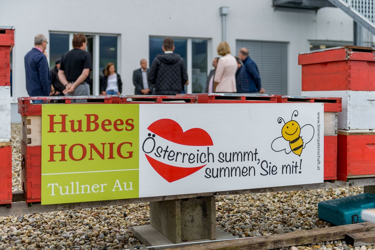 HuBees Honig