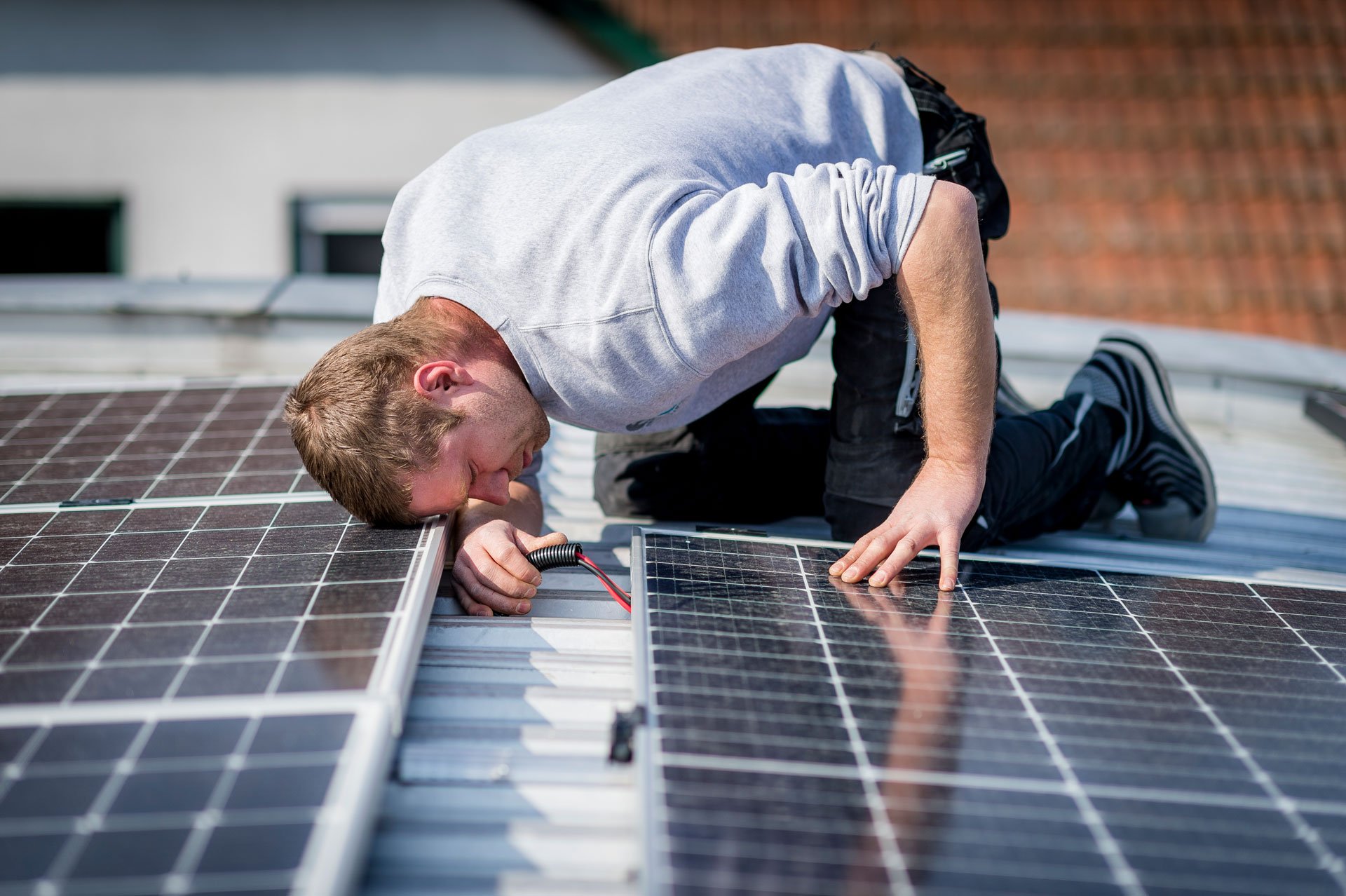 PV-Anlagen auf den Dächern der Winzerei Direder
