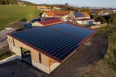 Mandl's goat farm is up for the energy transition