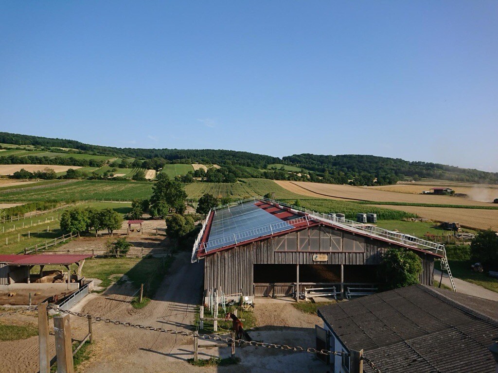 Bild der EG