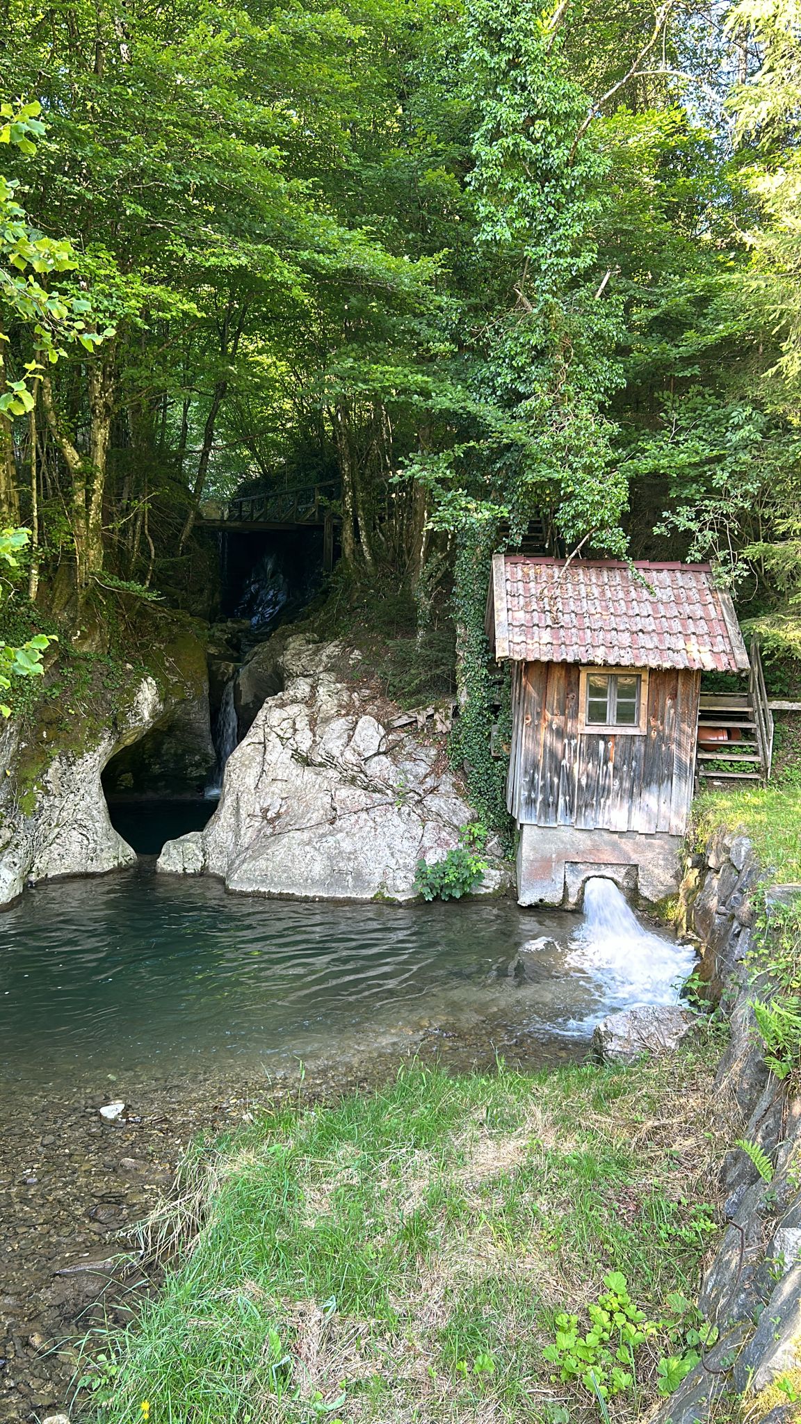 Bild der EG